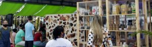Imagem da notícia - Sedecti leva inovação na bioeconomia para a 43ª Expoagro do Amazonas